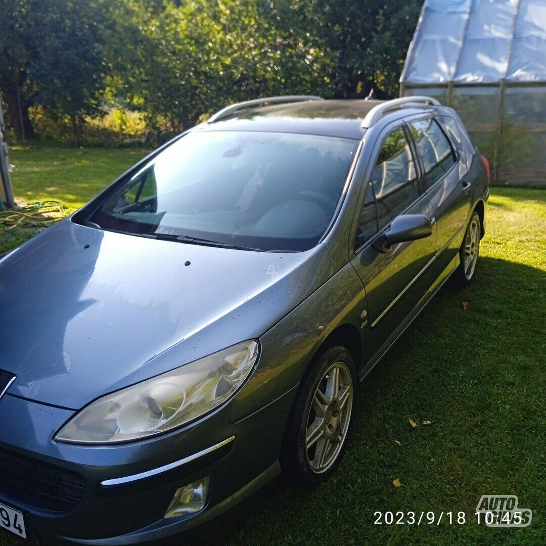 Peugeot 407 2005 y Wagon