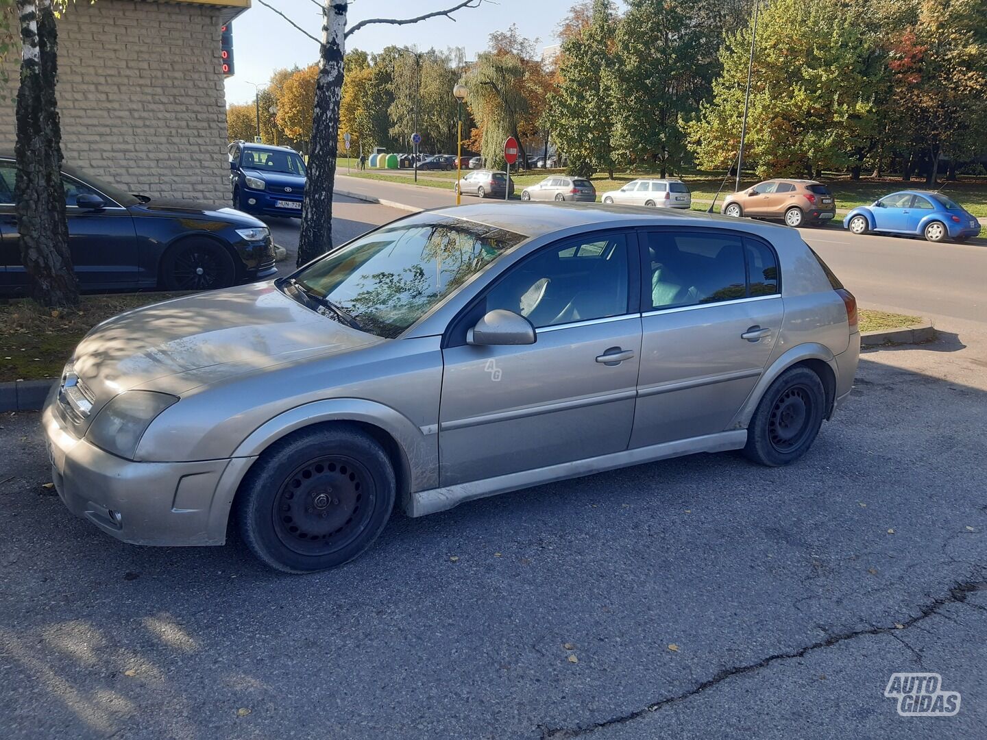 Opel Signum 2004 y Wagon