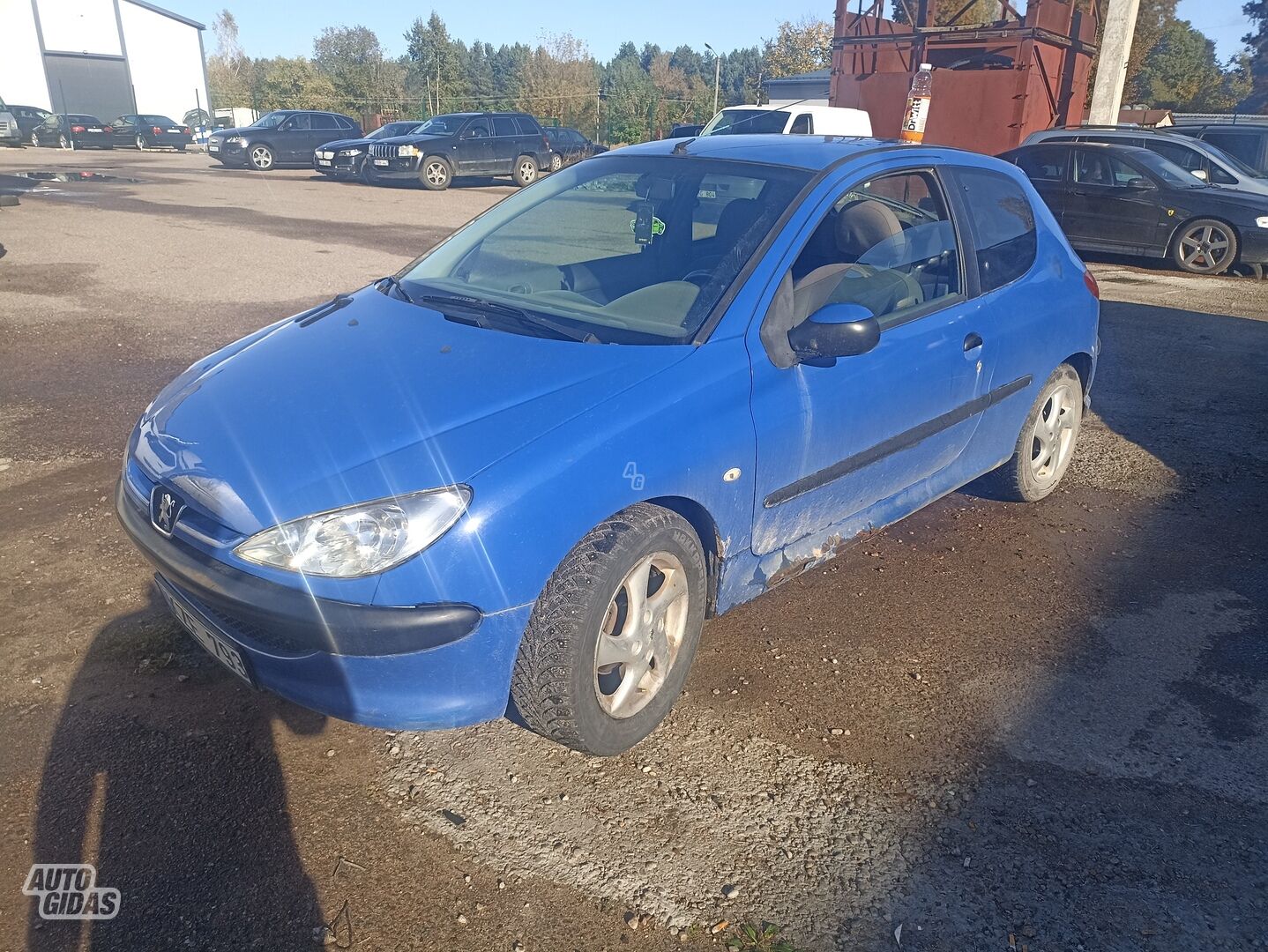 Peugeot 206 2005 m Hečbekas