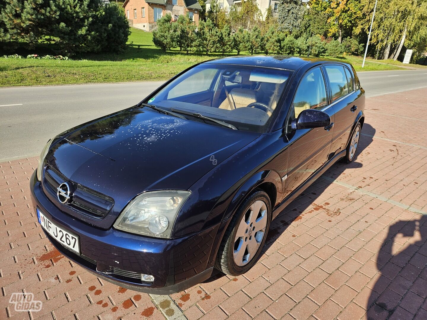 Opel Signum 2004 г Хэтчбек