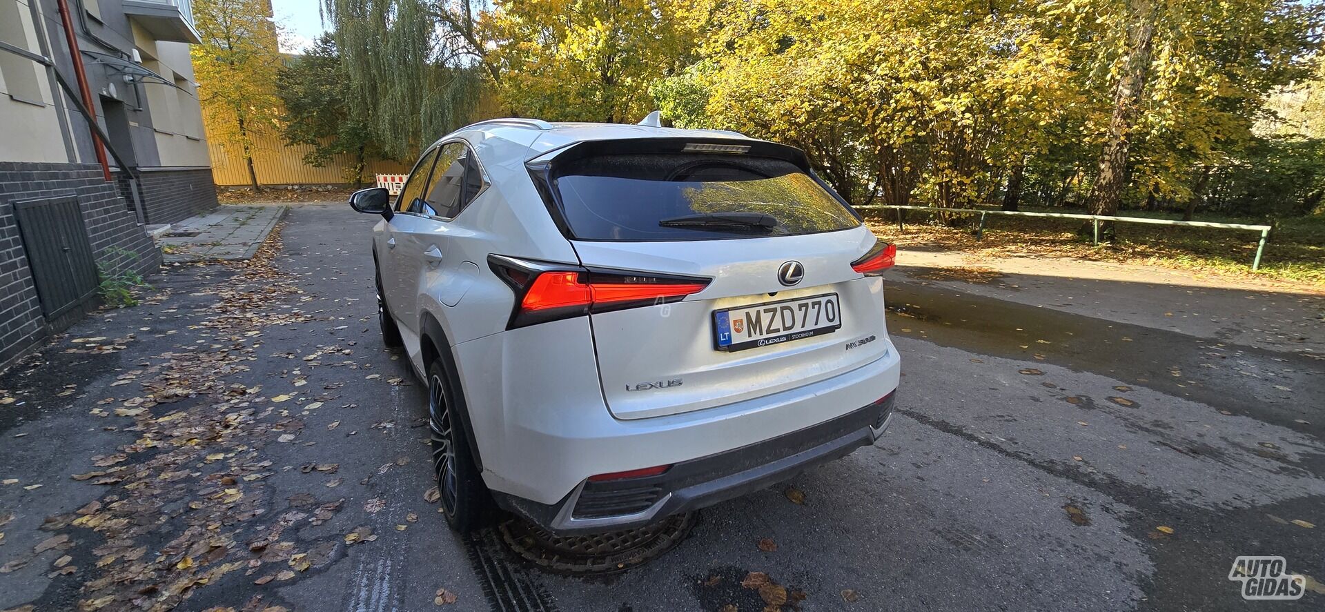 Lexus NX 300h I 2018 m