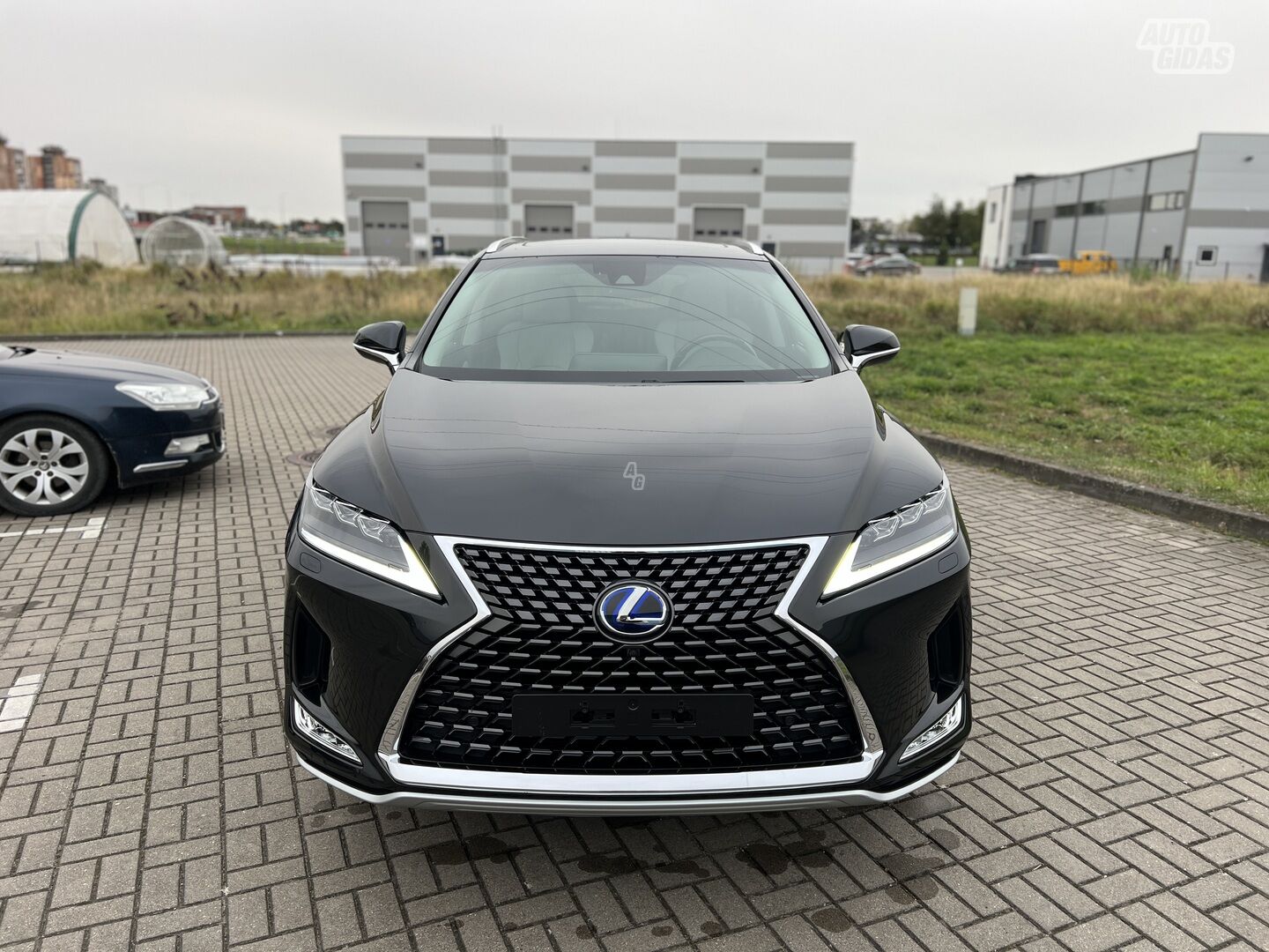 Lexus RX 450h 2018 m Visureigis / Krosoveris