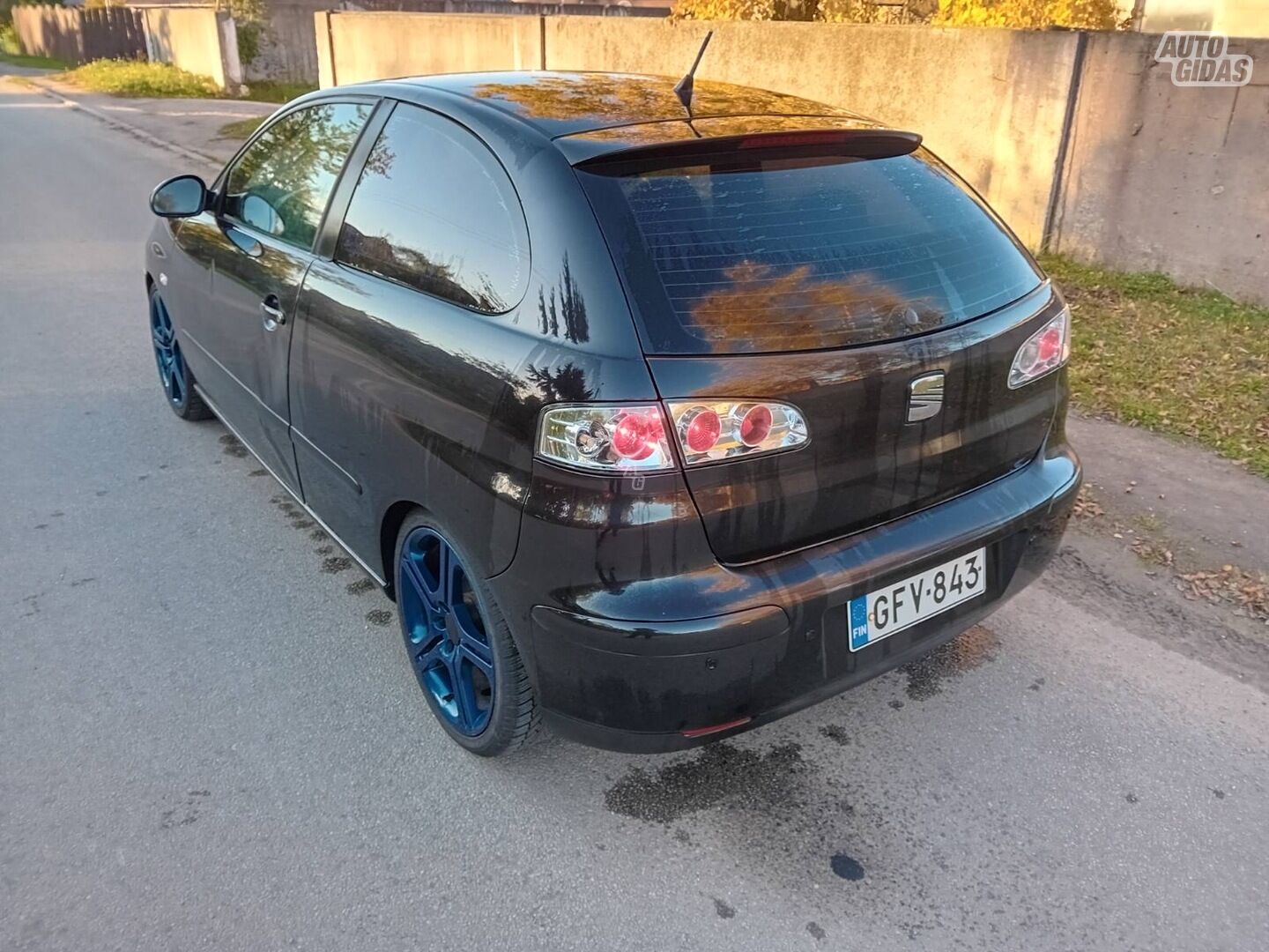 Seat Ibiza 2004 m Hečbekas