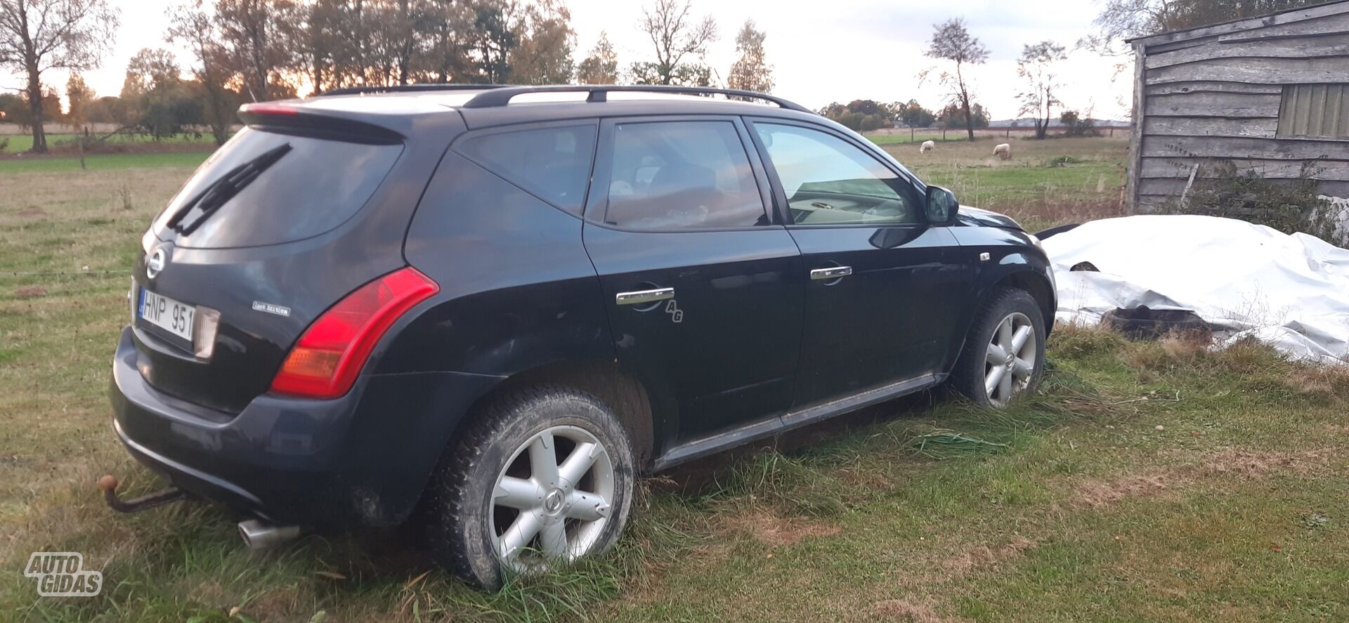 Nissan Murano 2005 m Visureigis / Krosoveris