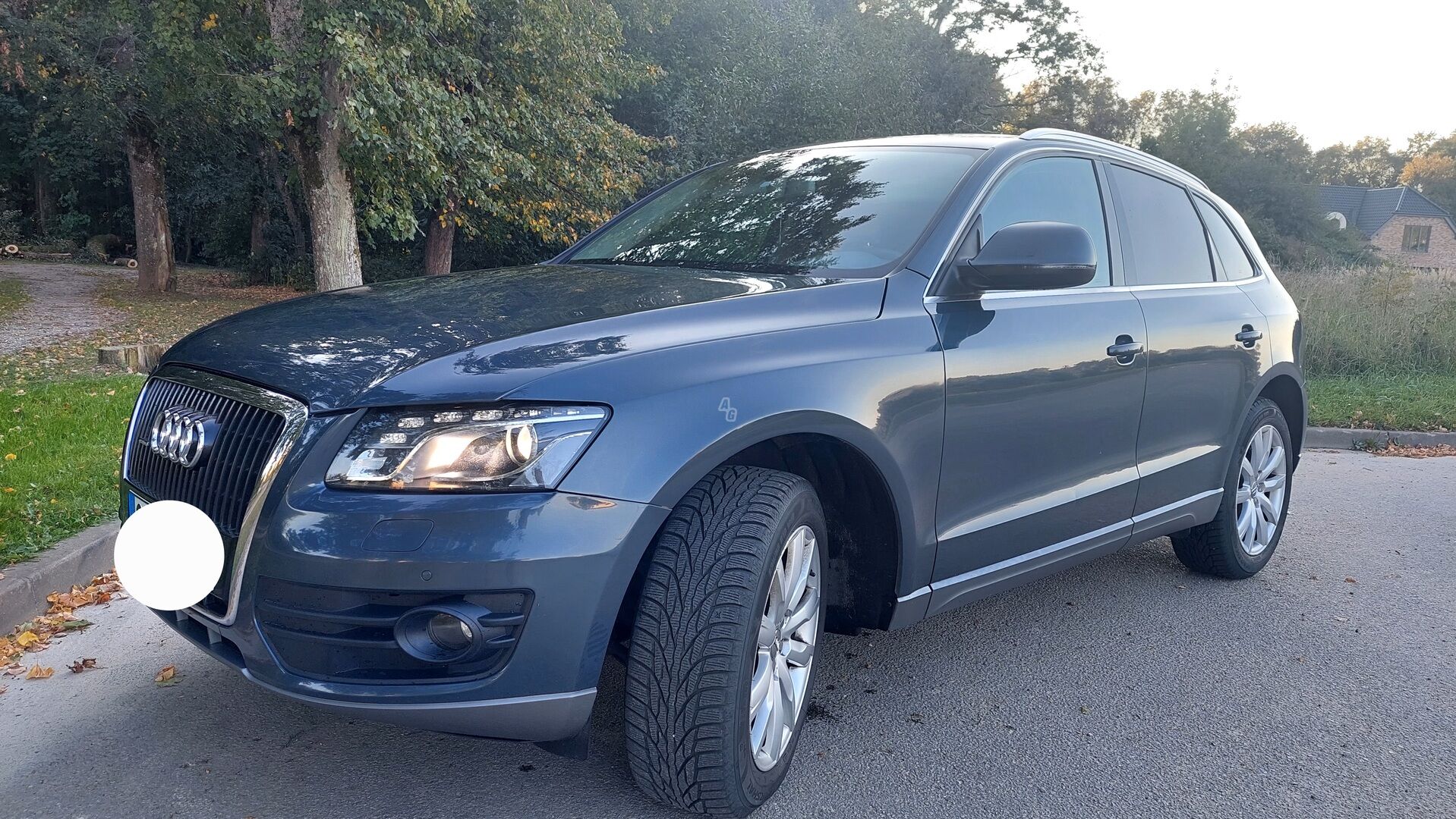 Audi Q5 2009 y Off-road / Crossover