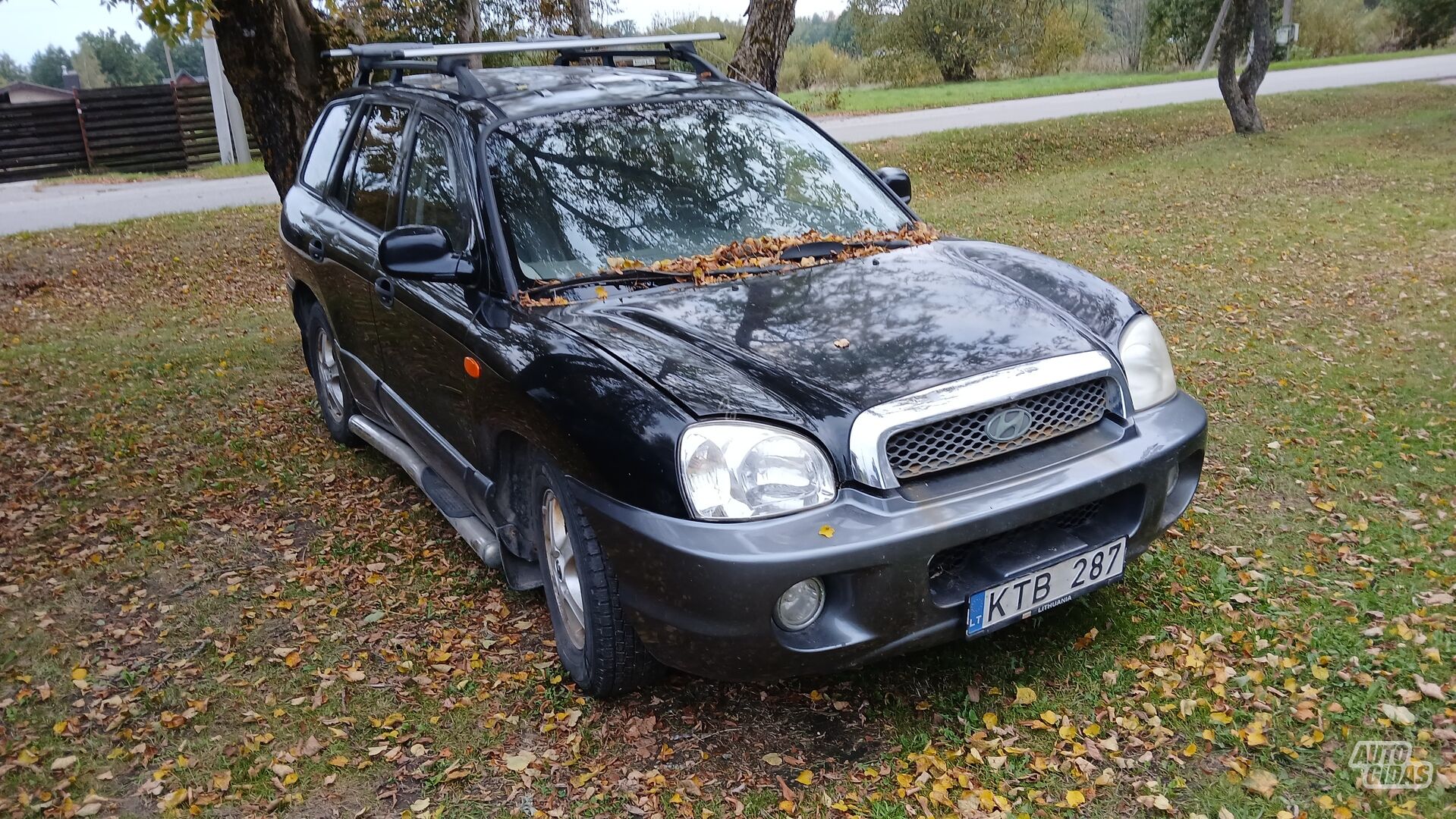 Hyundai Santa Fe I 2004 m