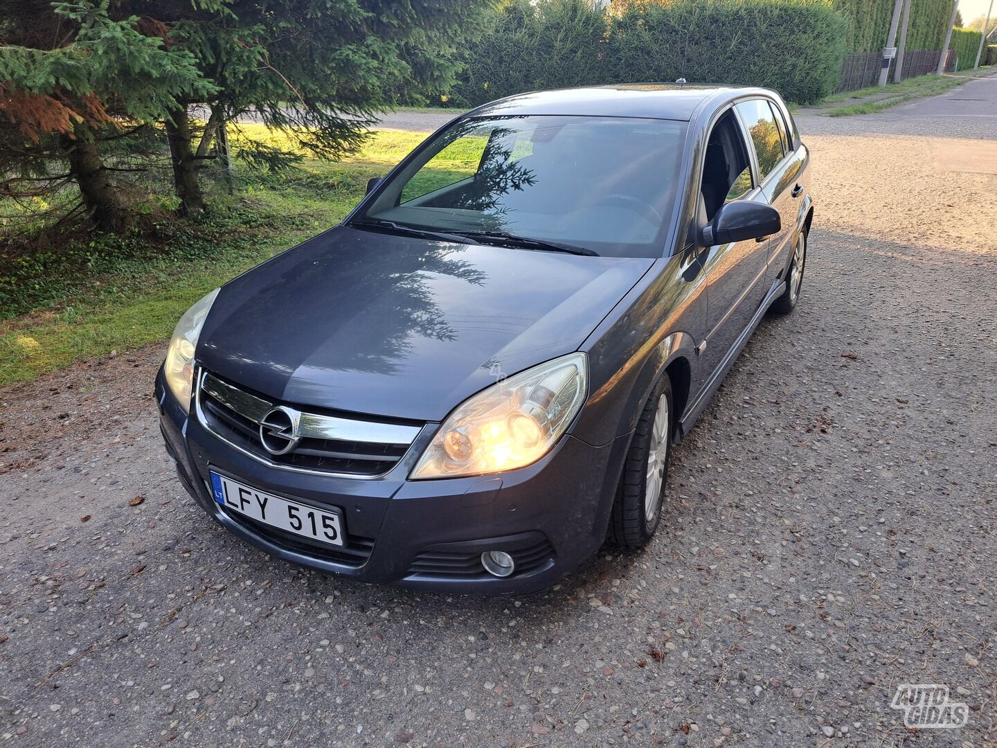 Opel Signum Cdti 2008 m