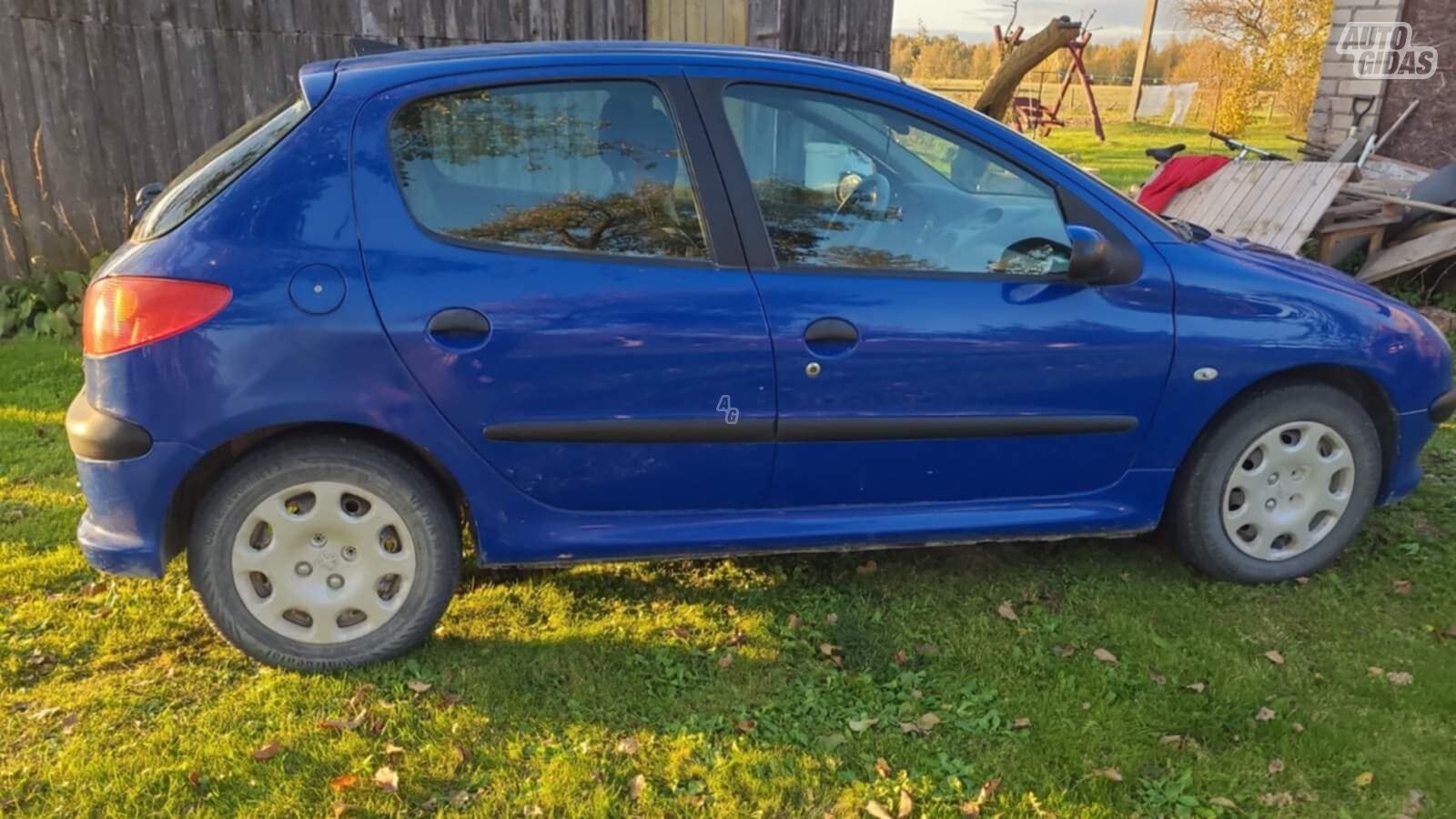 Peugeot 206 2006 y Hatchback