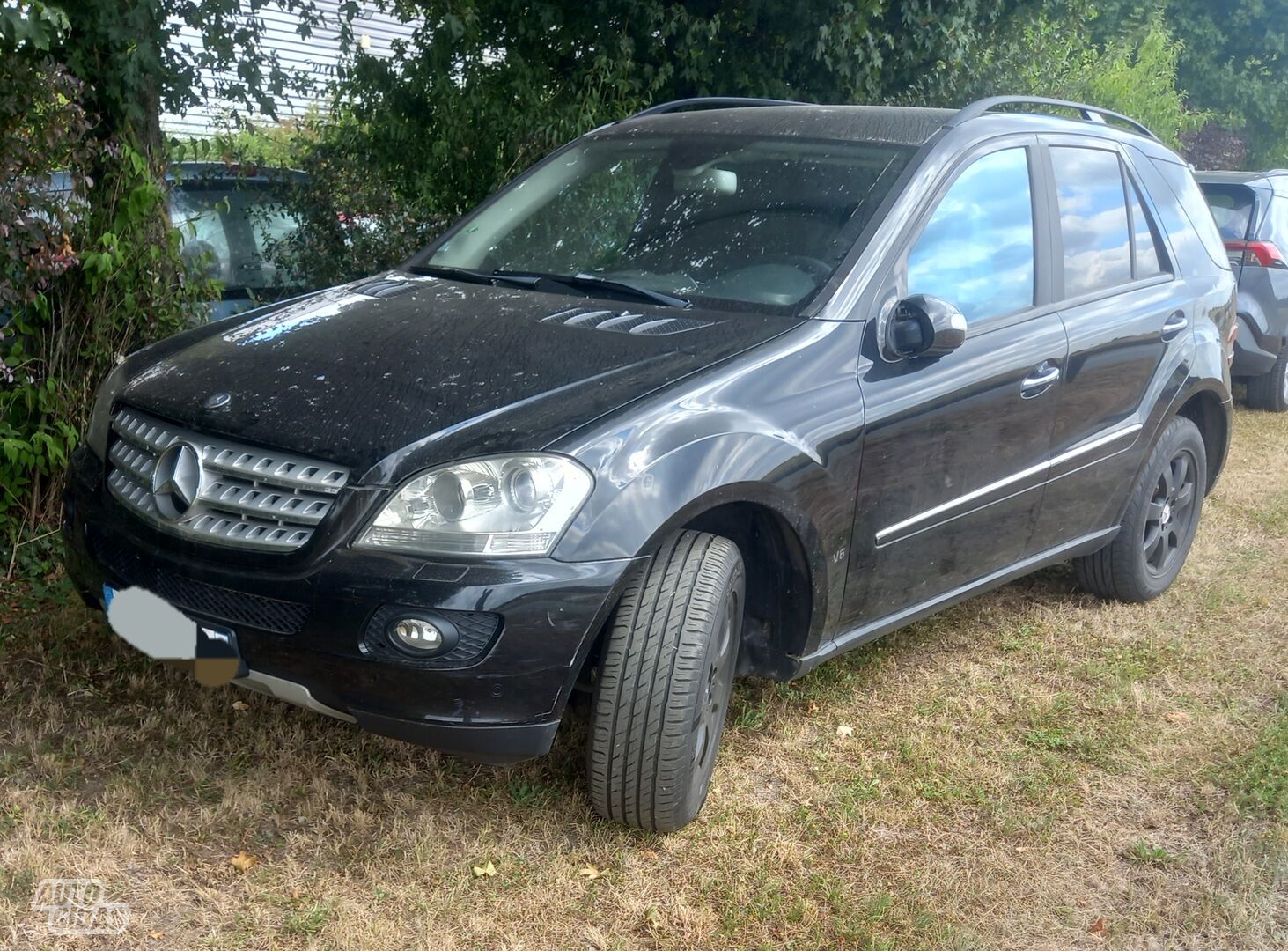 Mercedes-Benz ML 320 2006 m Visureigis / Krosoveris