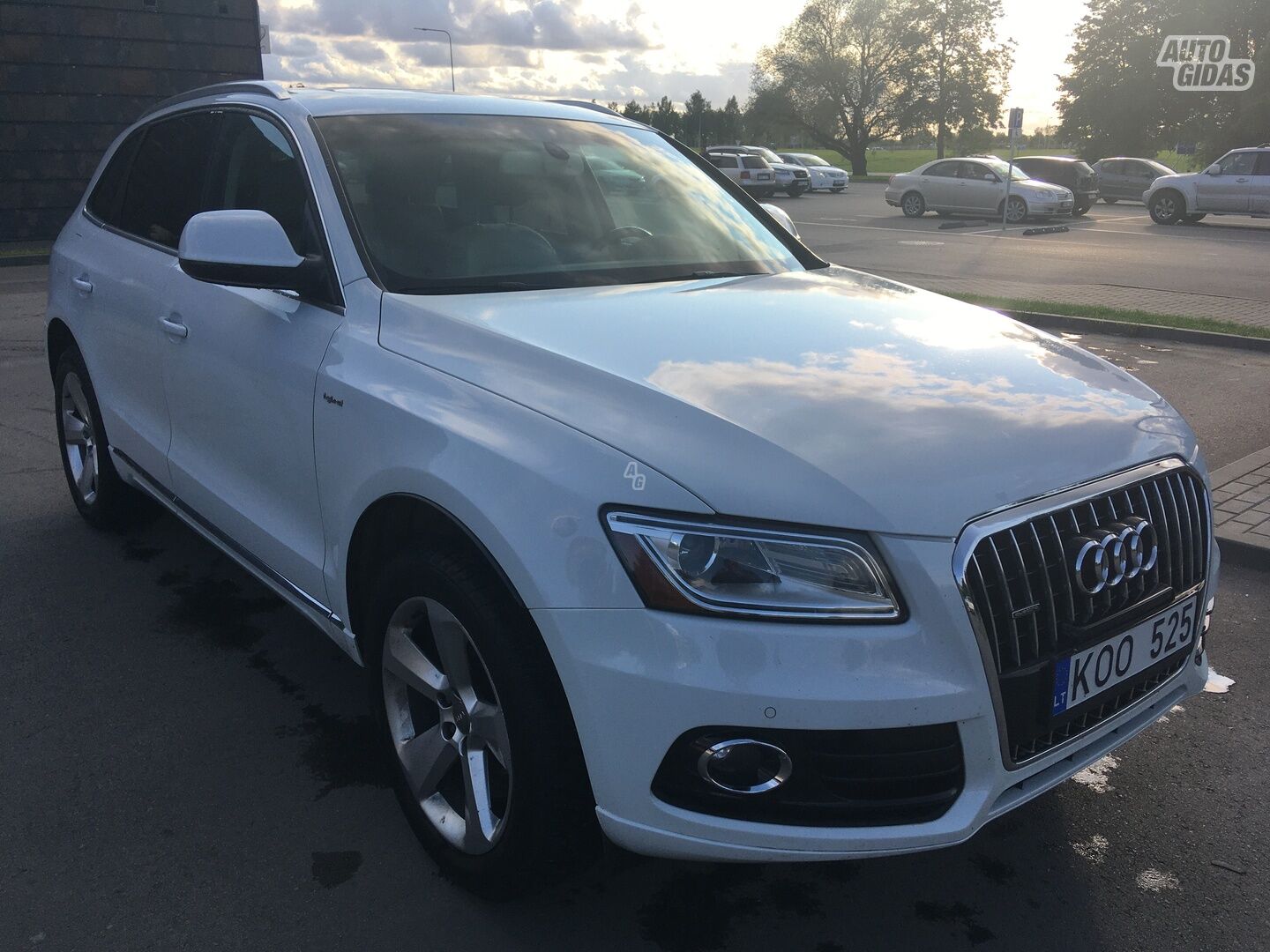 Audi Q5 2013 y Off-road / Crossover