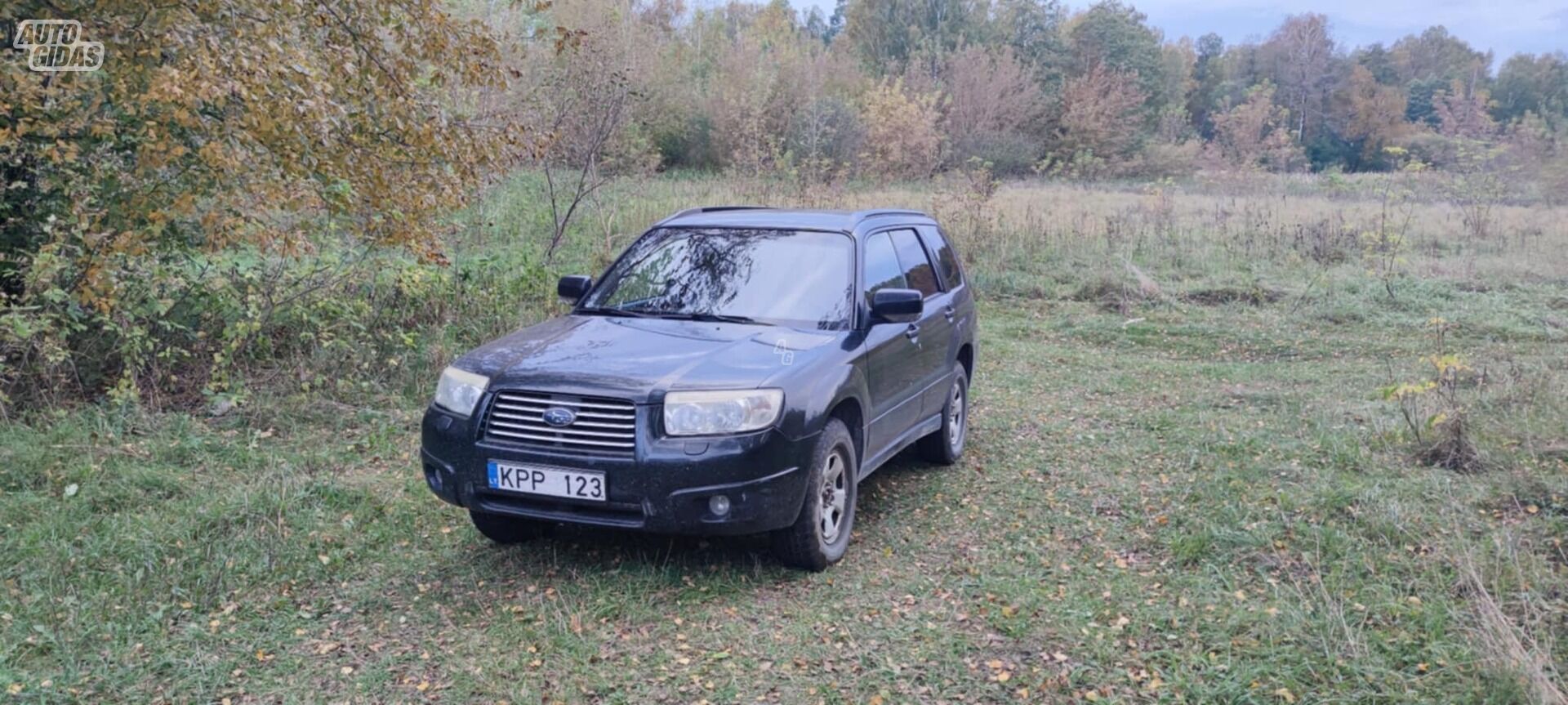 Subaru Forester 2006 y Off-road / Crossover