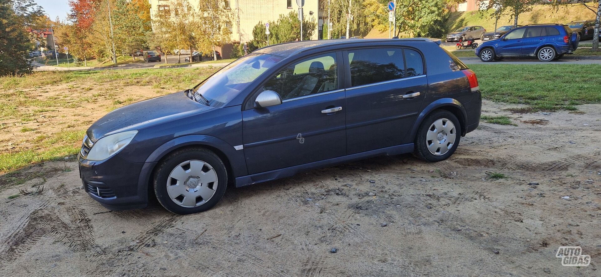 Opel Signum 2005 m Hečbekas