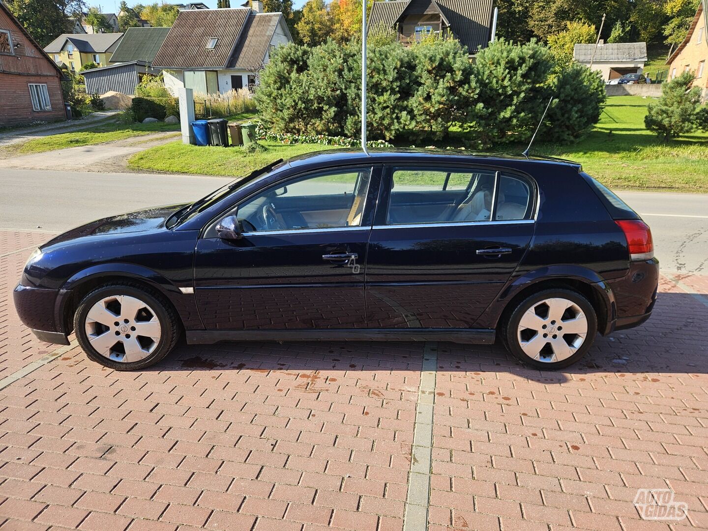 Opel Signum 2004 m Hečbekas