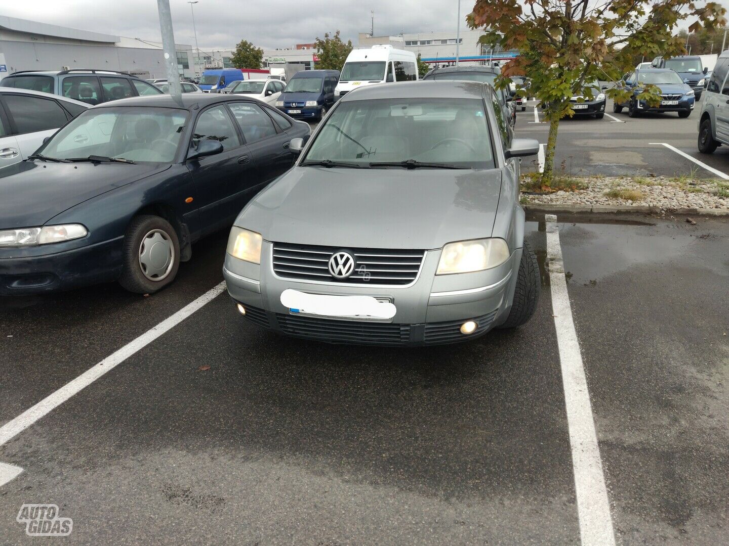 Volkswagen Passat B5.5 2003 г