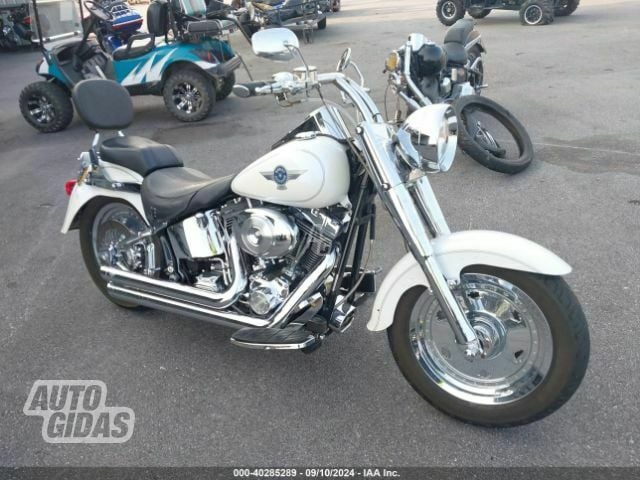 Harley-Davidson FLSTF 2005 г Чопер / Cruiser / Custom мотоцикл