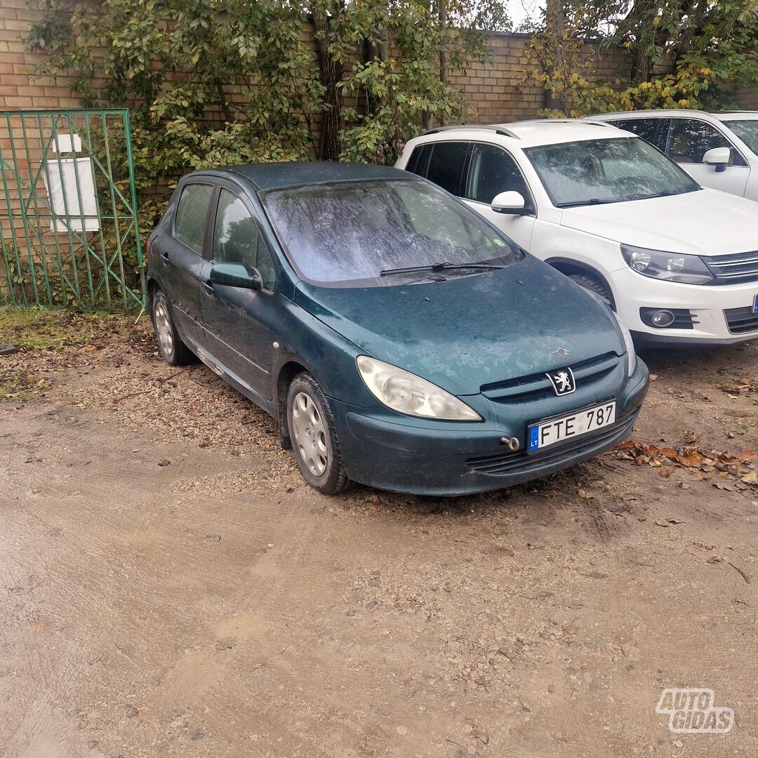 Peugeot 307 2002 m Hečbekas