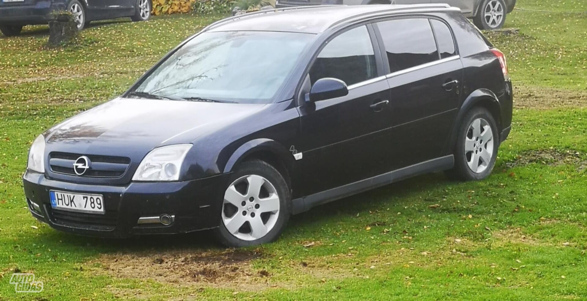 Opel Signum 2003 m Hečbekas