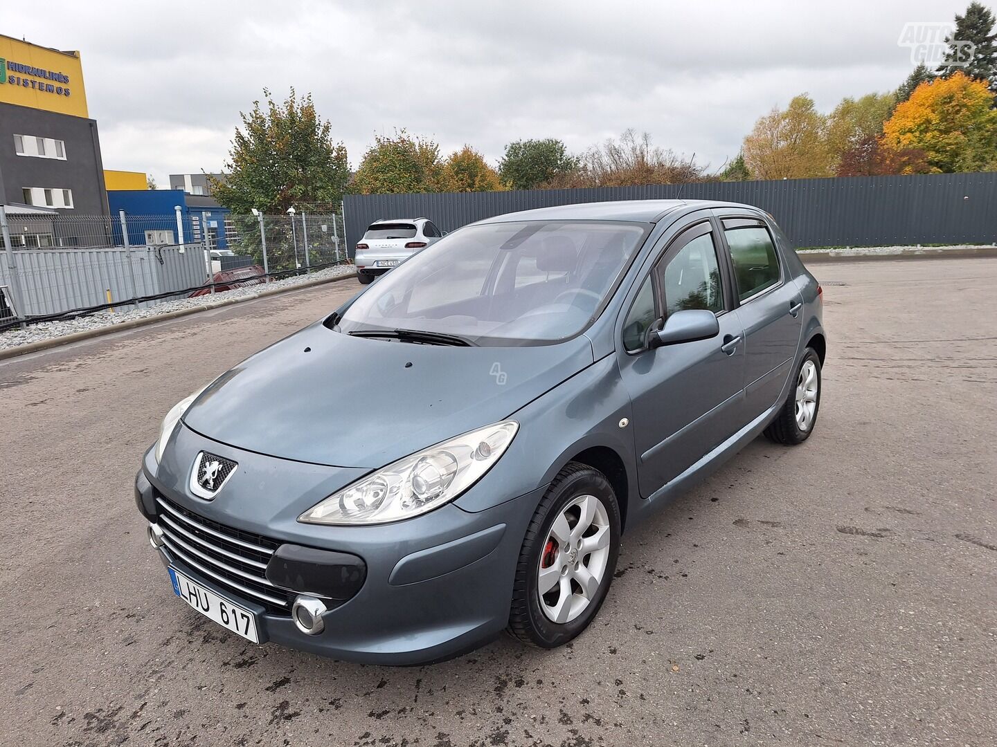 Peugeot 307 2006 y Hatchback