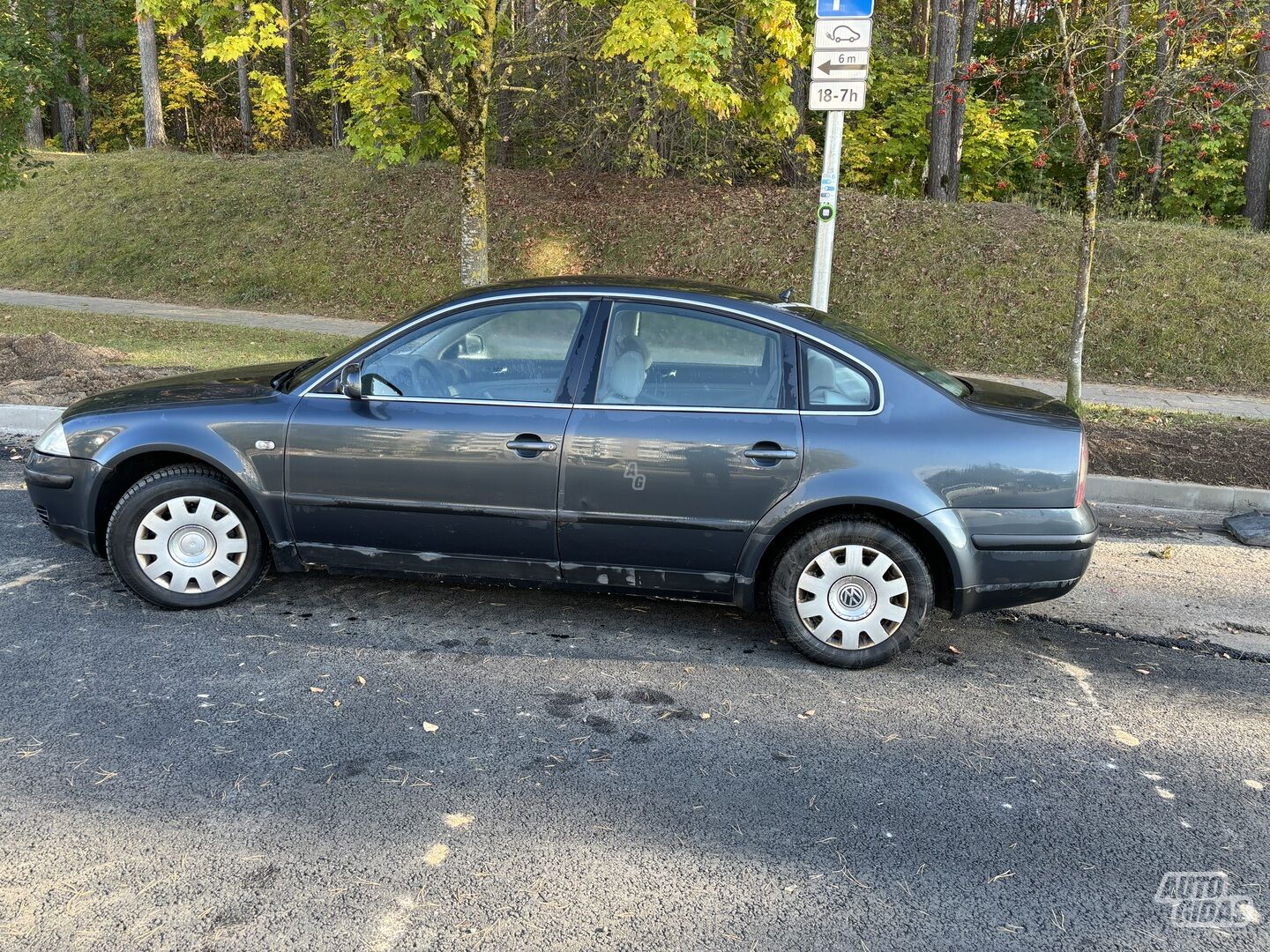 Volkswagen Passat B5.5 2001 m