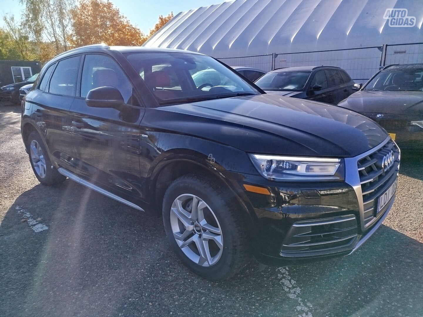 Audi Q5 2018 y Off-road / Crossover