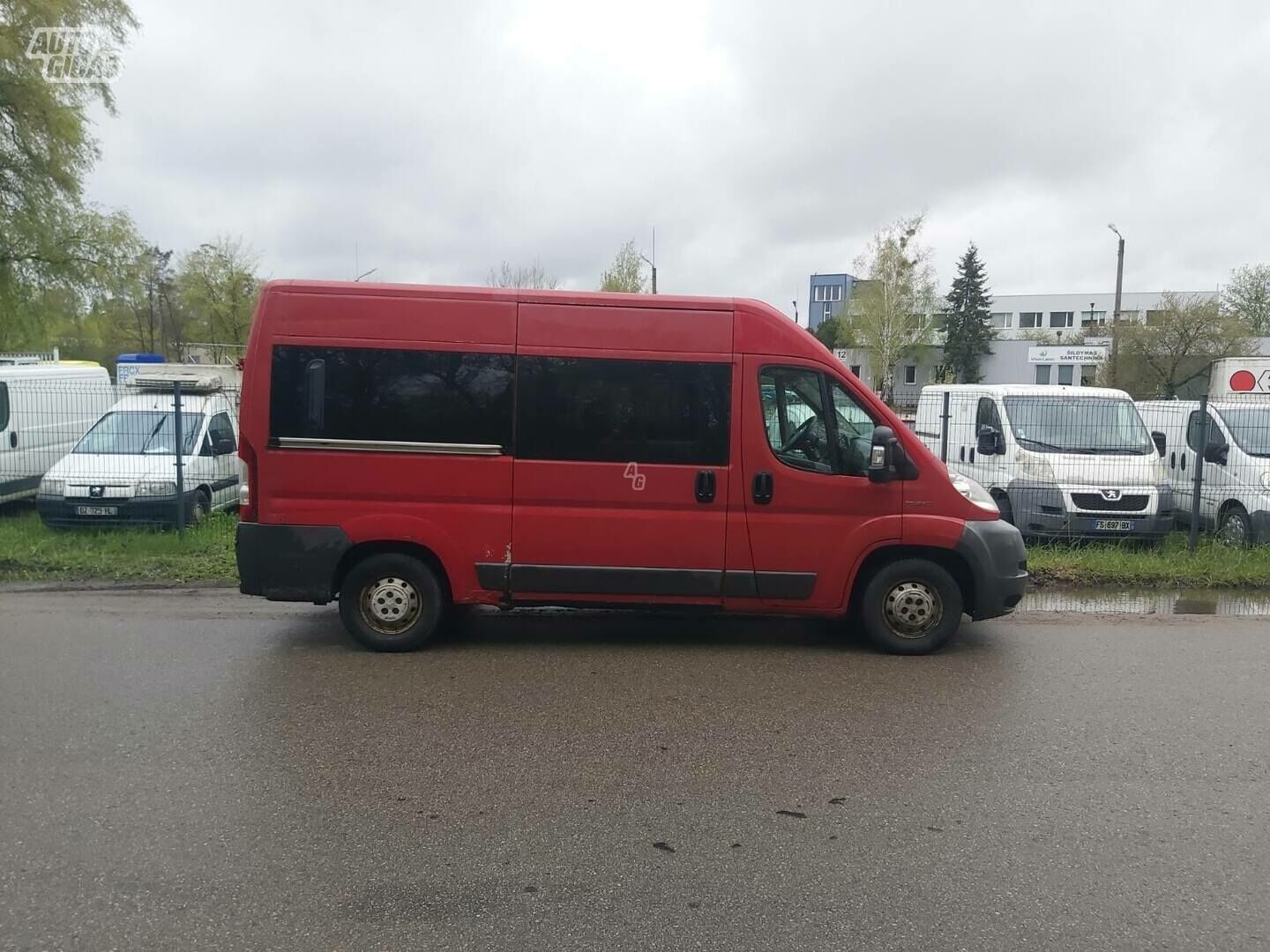 Peugeot Boxer 2009 y Minibus