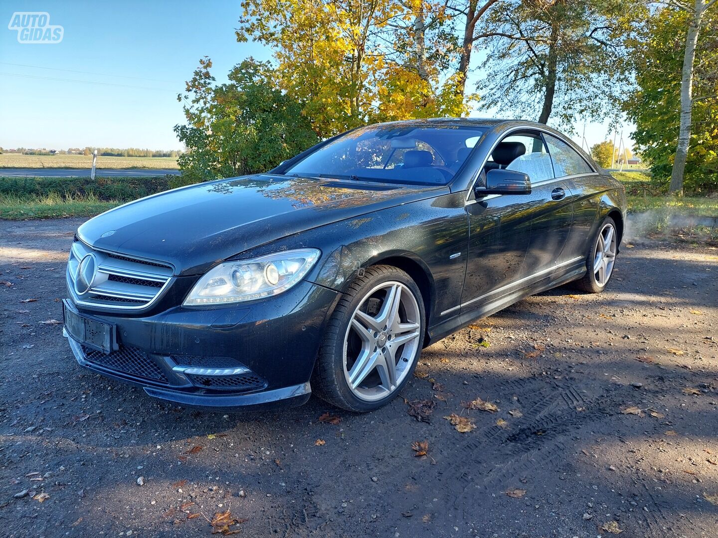 Mercedes-Benz CL 500 C216 2011 г