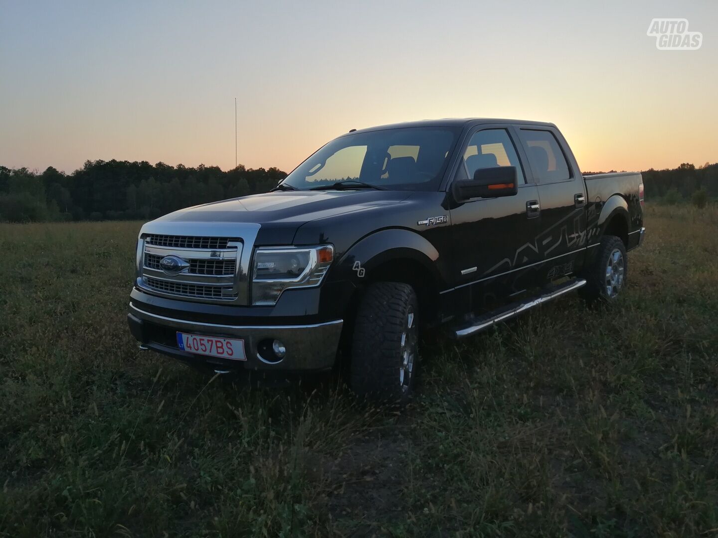 Ford F150 2013 г Пикап