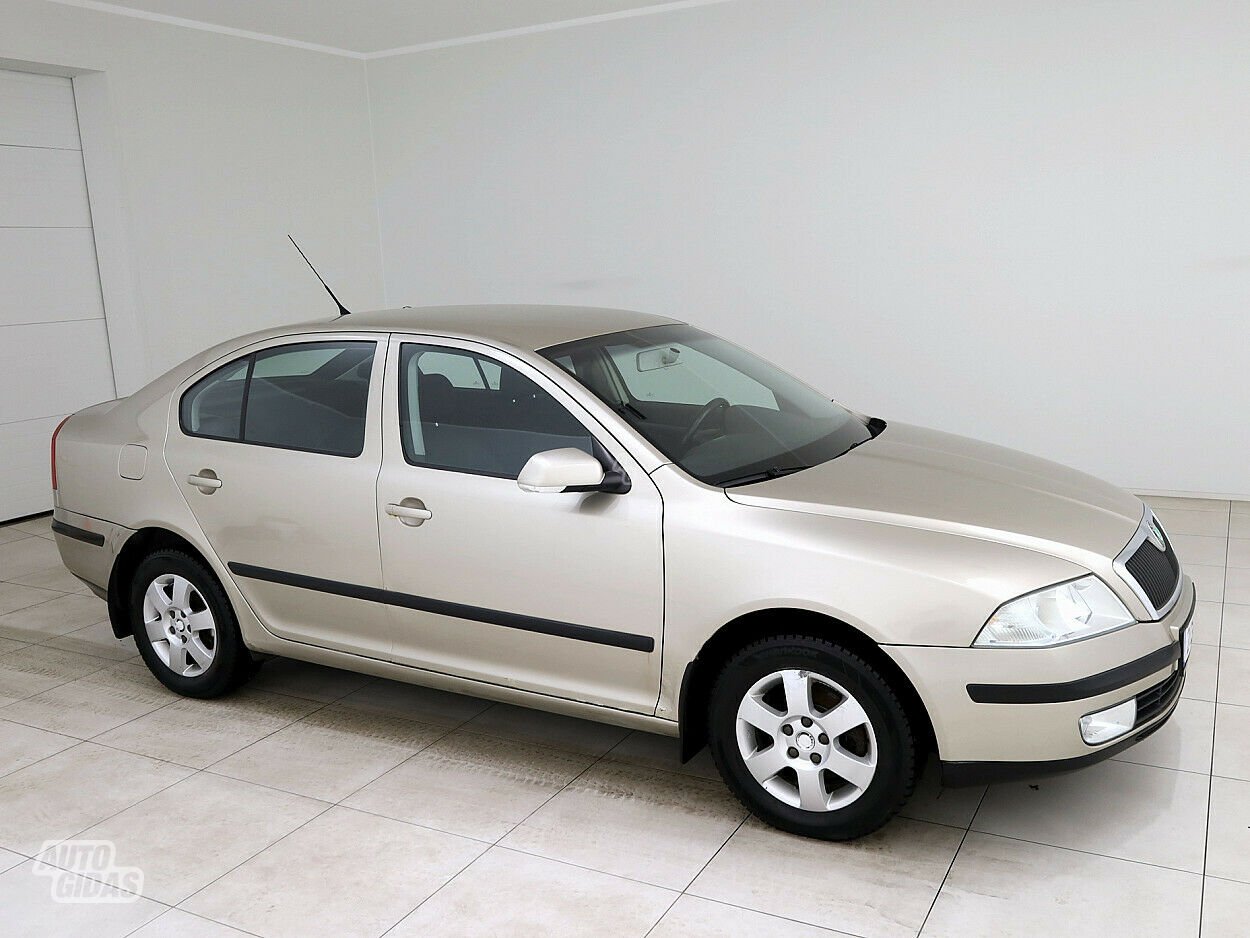 Skoda Octavia 2005 m Hečbekas