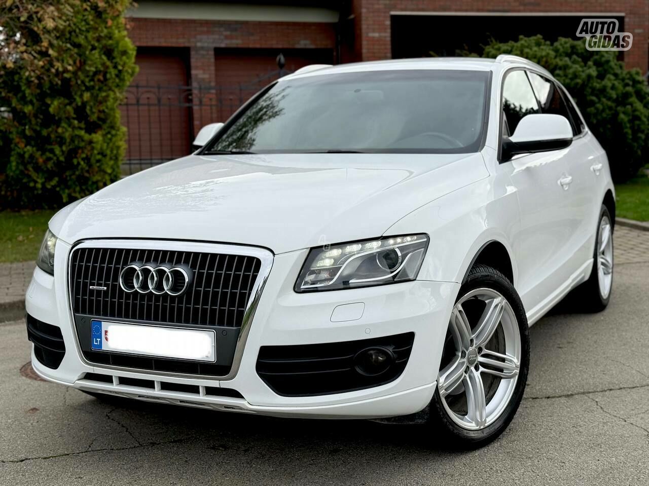 Audi Q5 2009 m Visureigis / Krosoveris