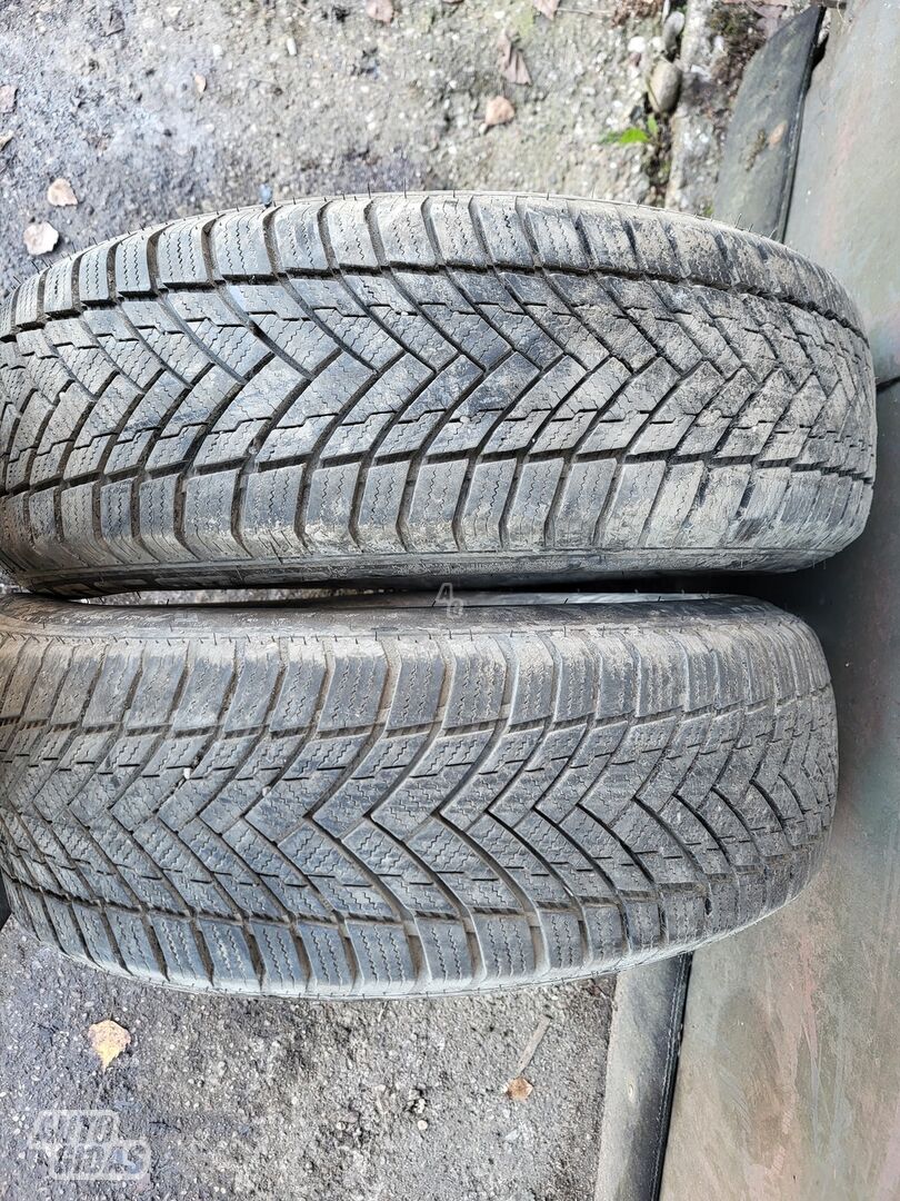 R14 winter tyres passanger car