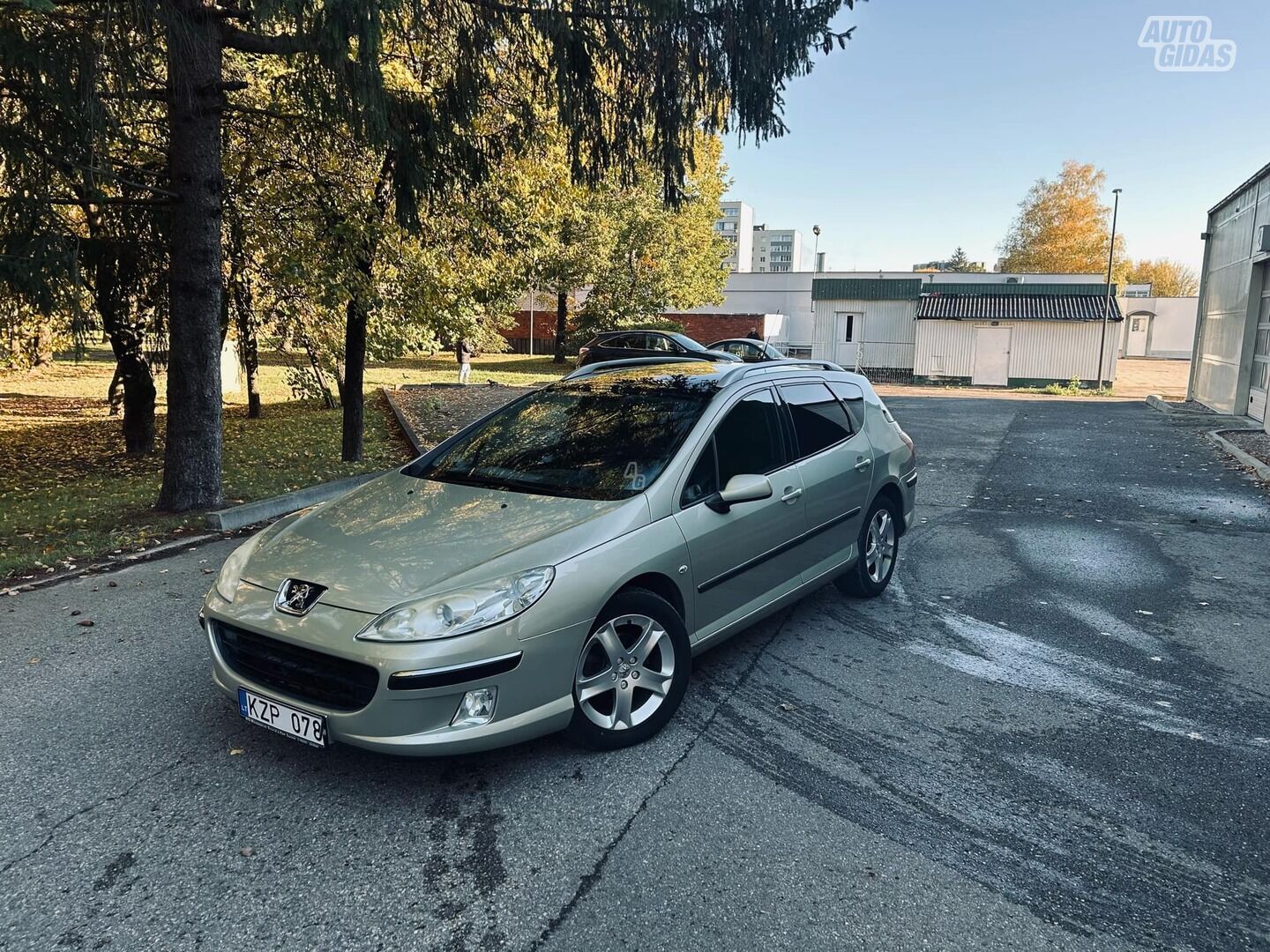 Peugeot 407 HDI TA 2025/04/18 2006 y