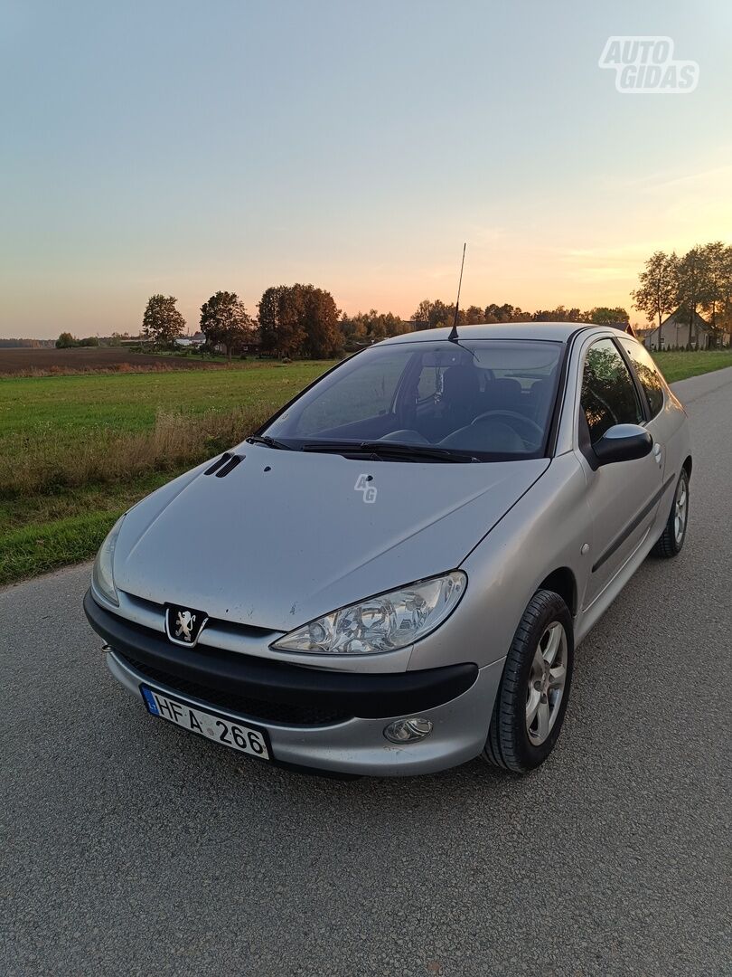 Peugeot 206 2003 m Hečbekas