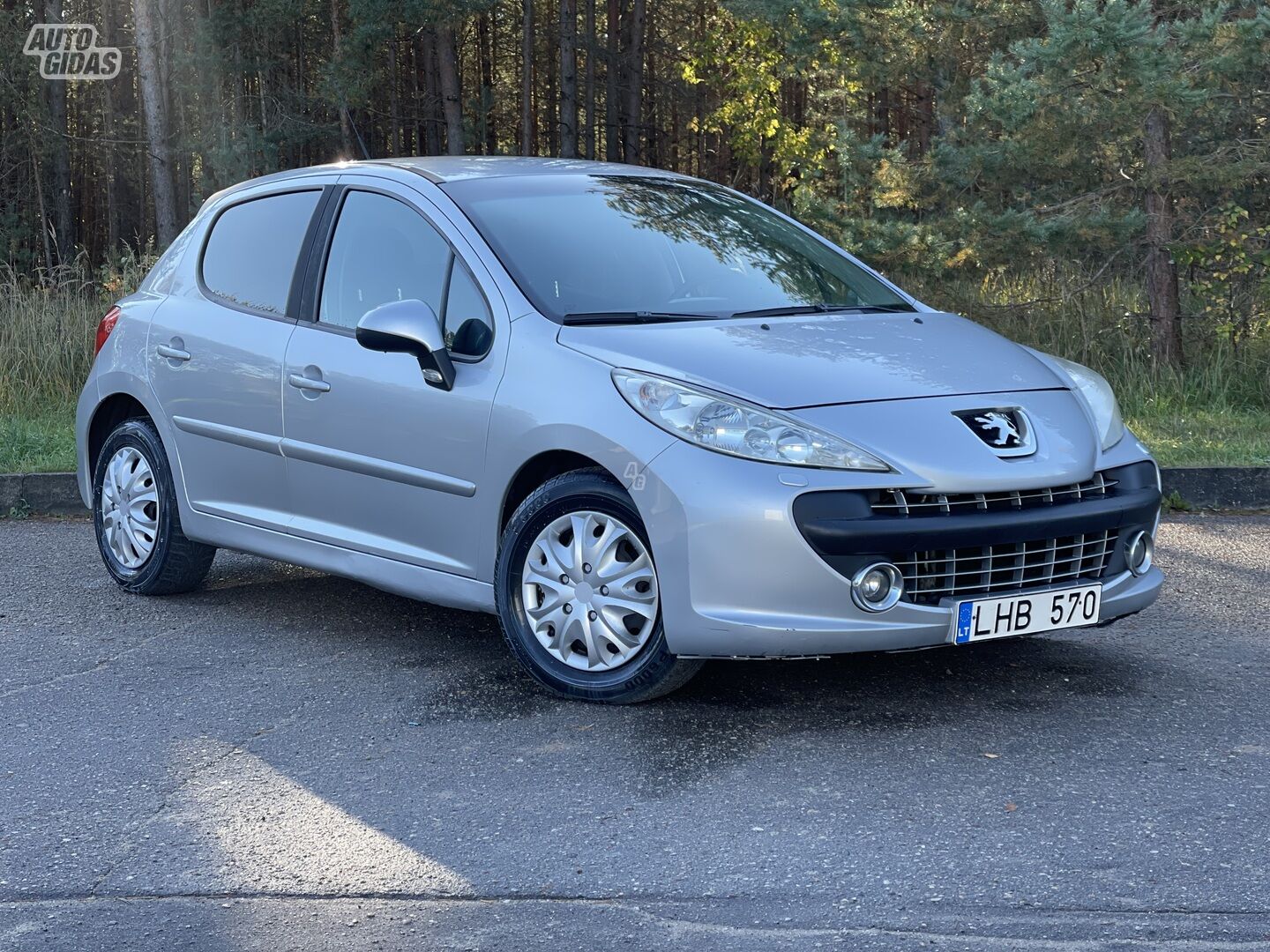 Peugeot 207 2007 m Hečbekas