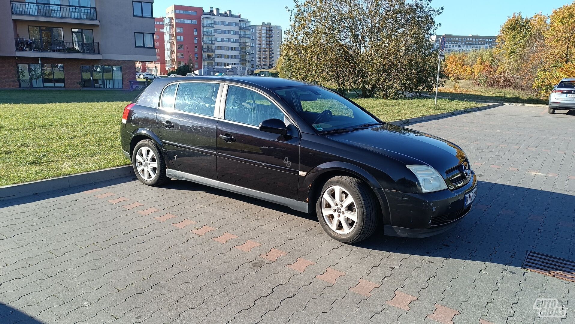 Opel Signum 1681 2004 y