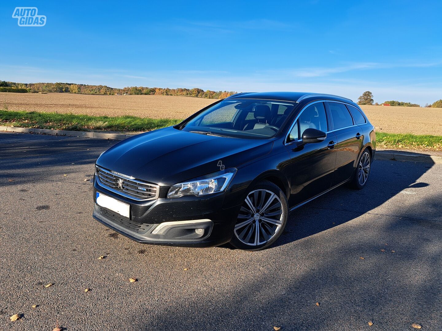 Peugeot 508 2015 y Wagon