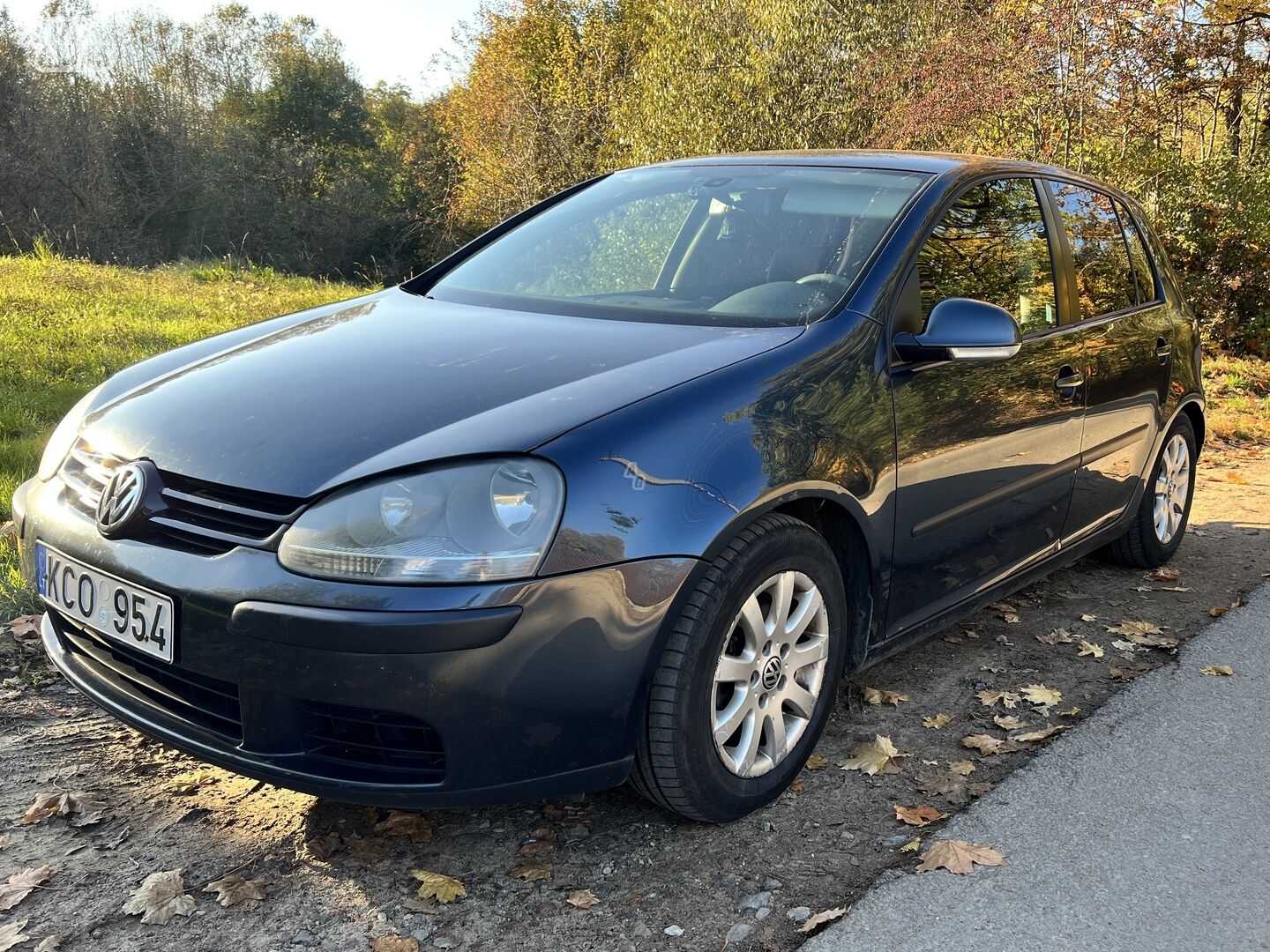 Volkswagen Golf 2006 m Hečbekas