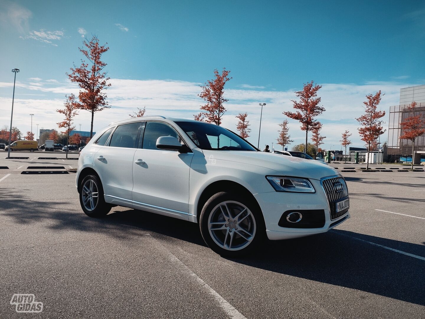 Audi Q5 I 2016 г прокат