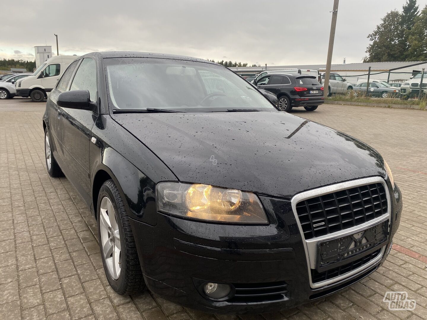 Audi A3 2007 m Hečbekas