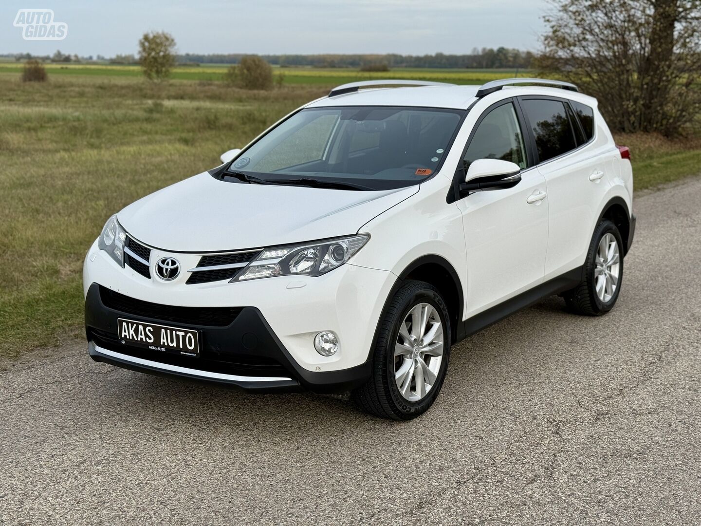 Toyota RAV4 2013 m Visureigis / Krosoveris