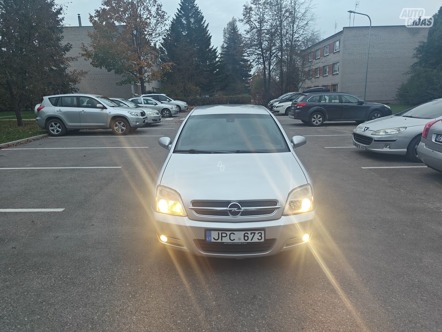 Opel Signum 2003 m Hečbekas