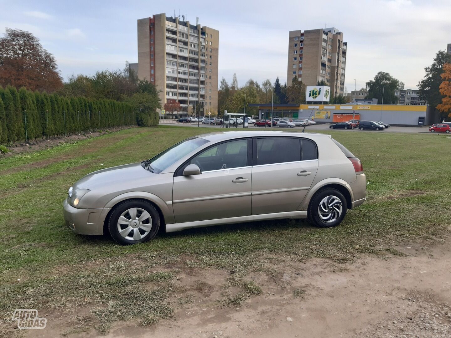 Opel Signum 2004 m Hečbekas