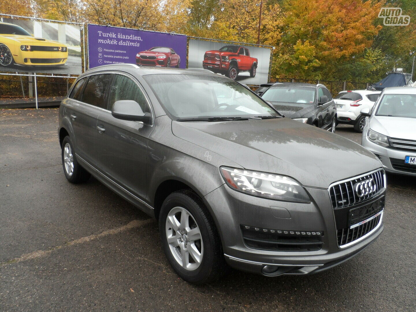 Audi Q7 2015 m Visureigis / Krosoveris