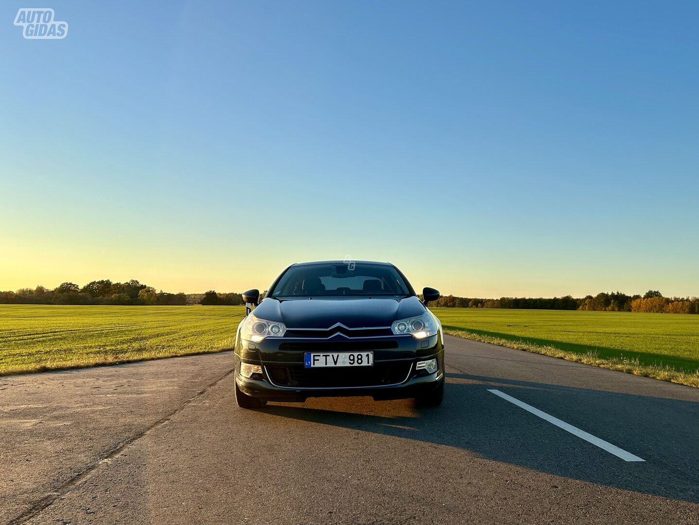 Citroen C5 9802 HDI 2008 y