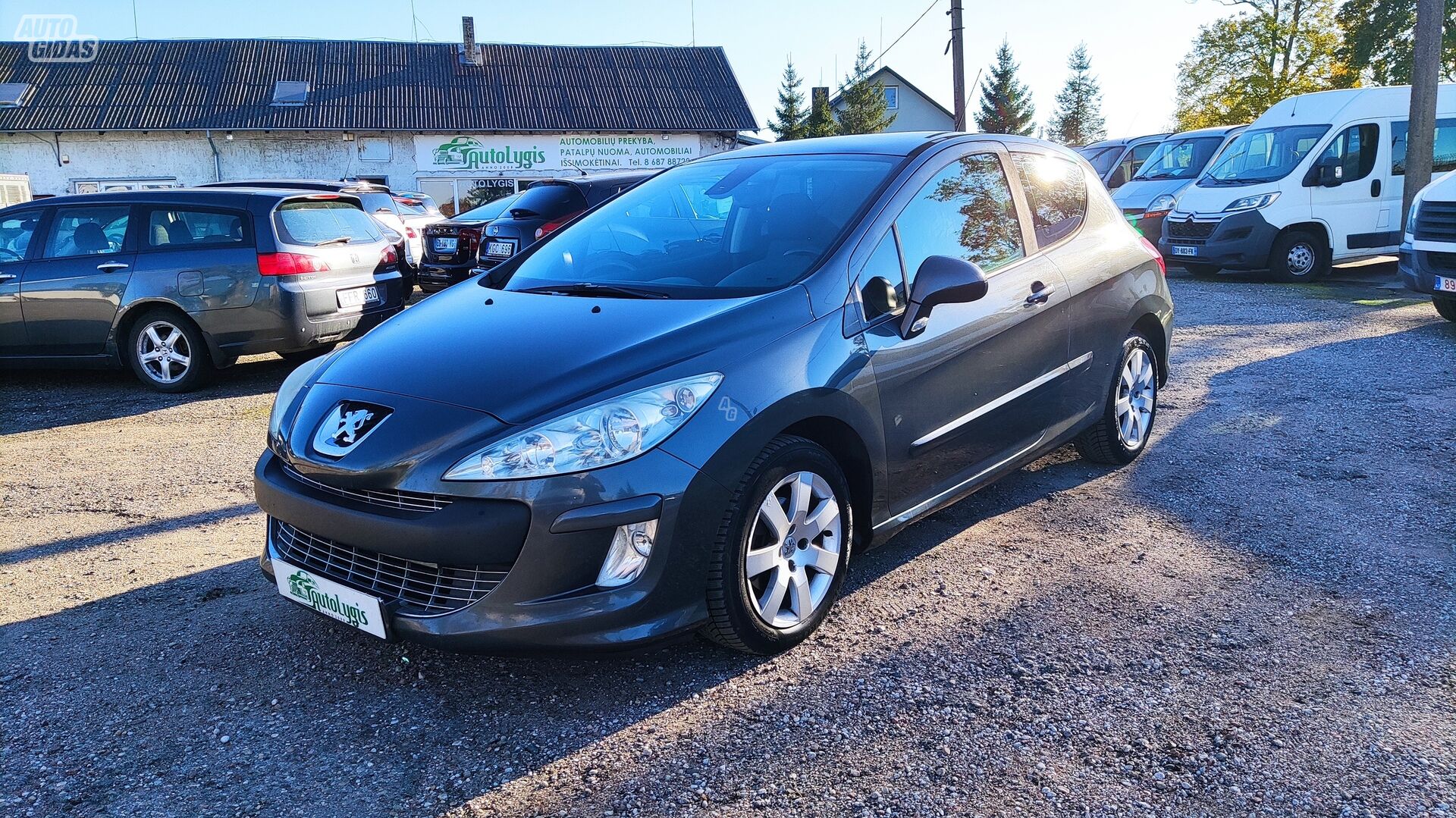 Peugeot 308 2008 y Hatchback