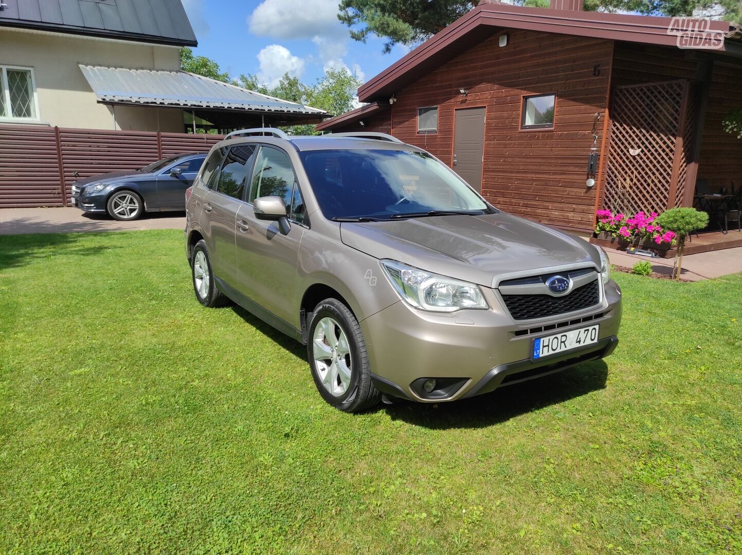 Subaru Forester 2015 y Off-road / Crossover