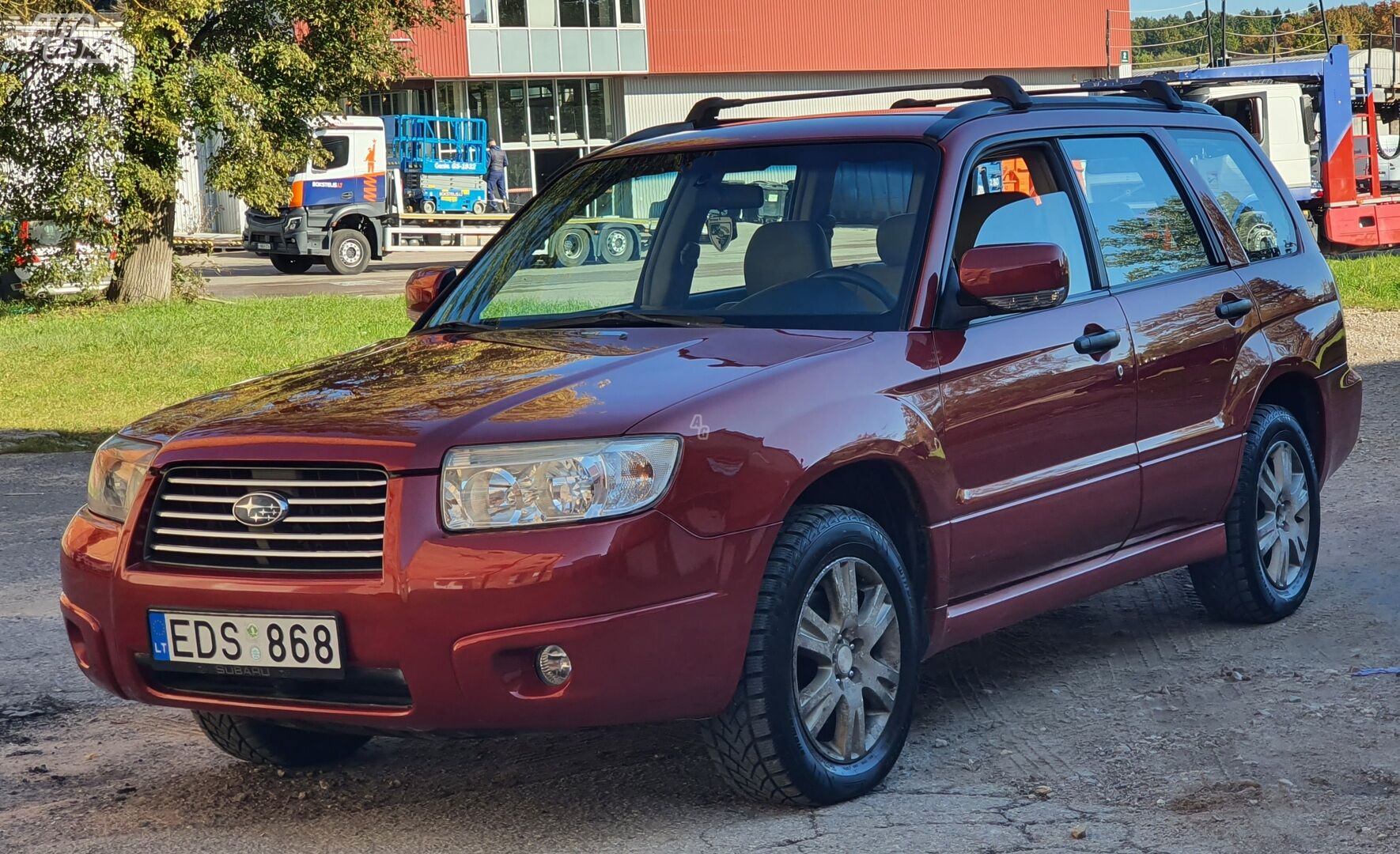 Subaru Forester 2006 y Off-road / Crossover