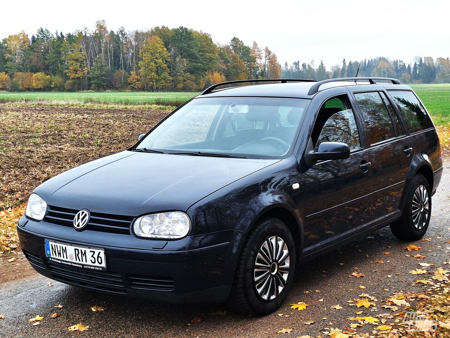 Volkswagen Golf IV 2006 m