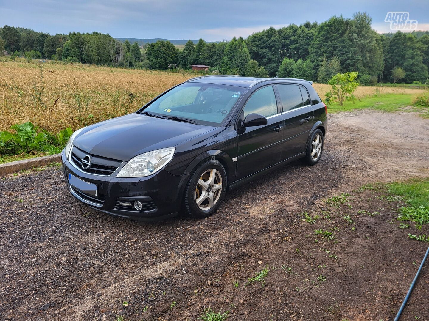 Opel Signum 2007 m Hečbekas