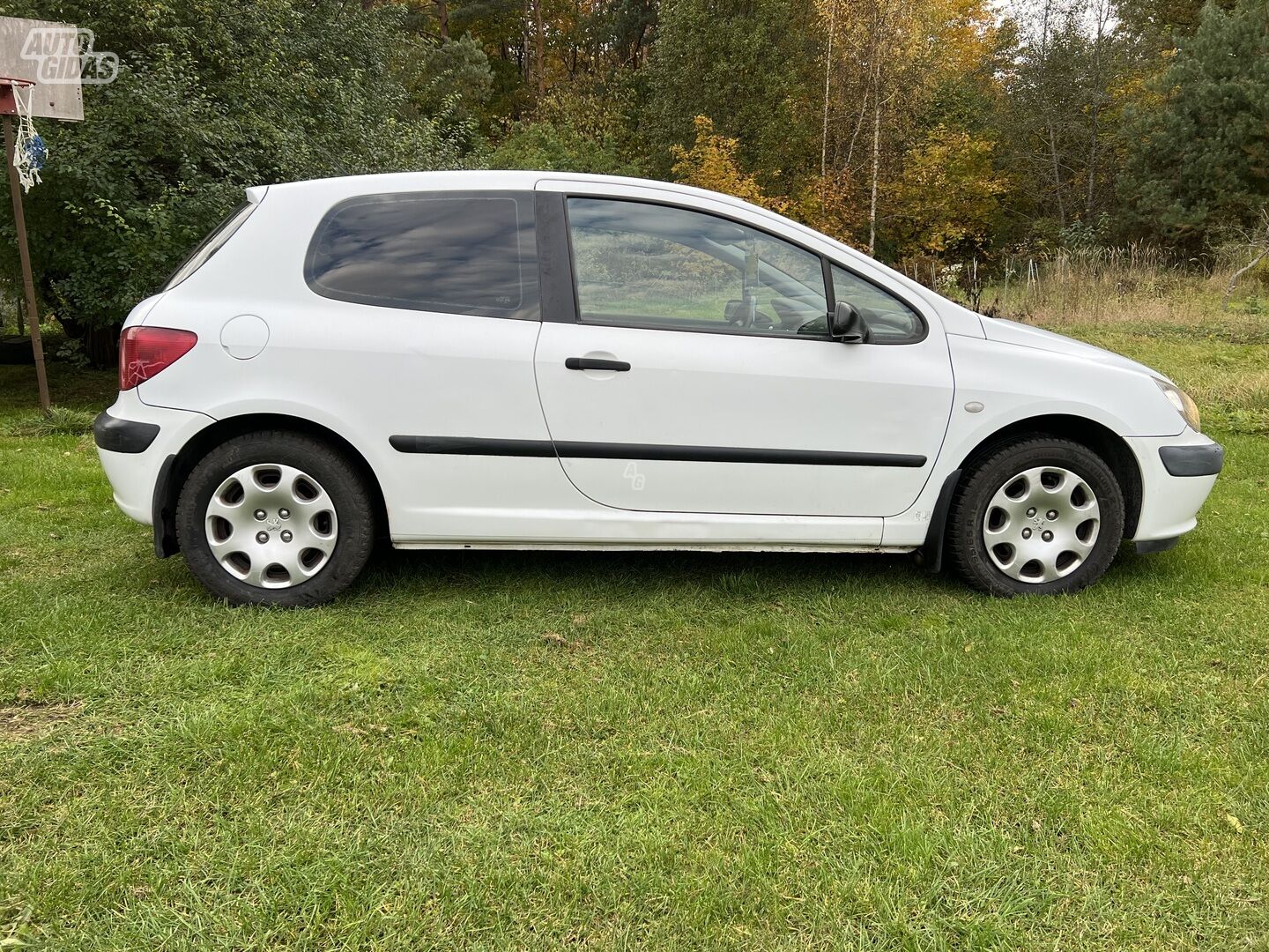 Peugeot 307 2005 m Hečbekas