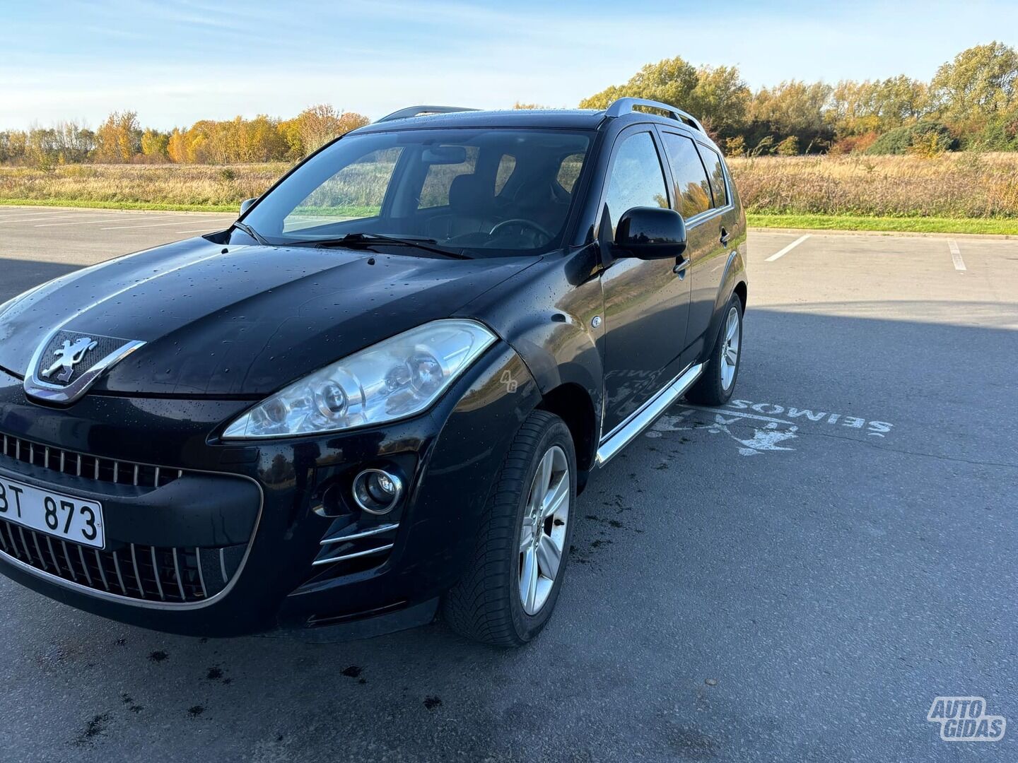 Peugeot 4007 TDI 2009 m